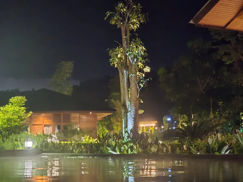 Timber villa and tall tree reflected in the pond at night