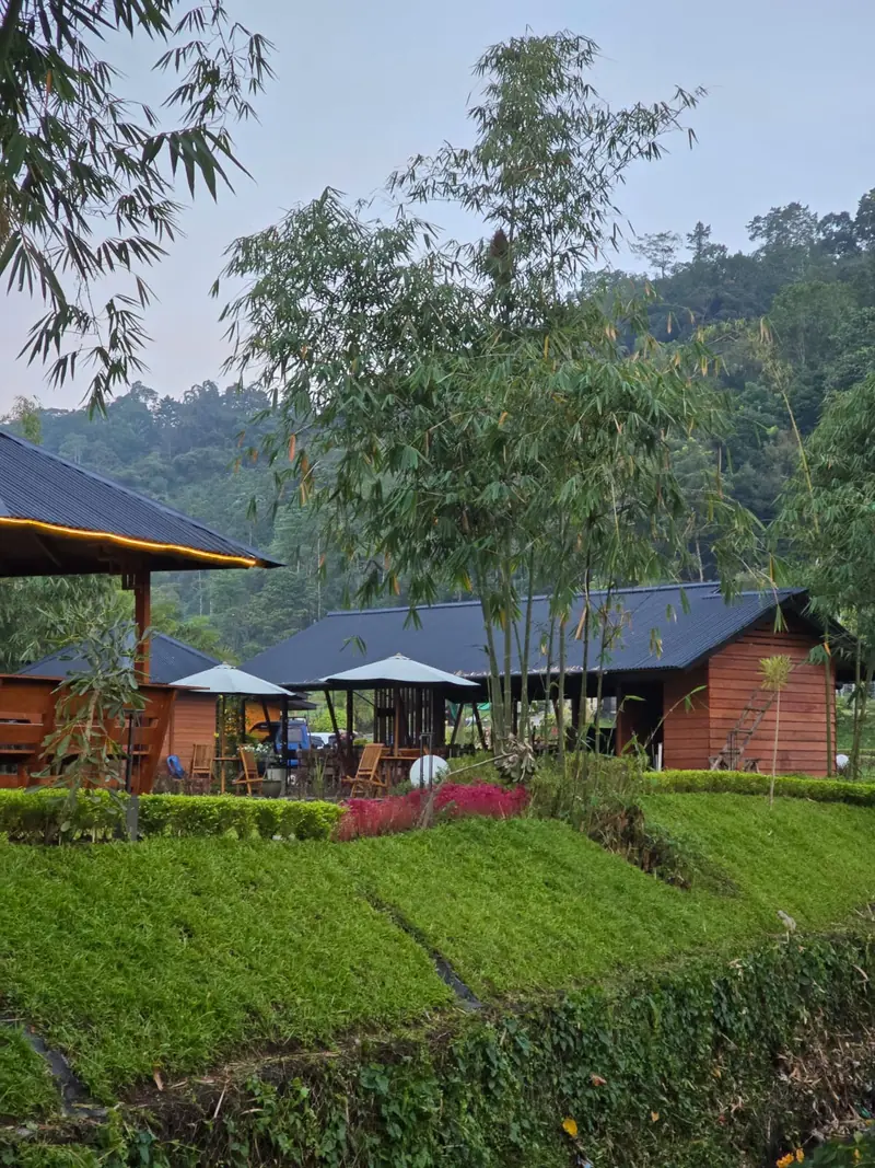 Timber villas on a sloping lawn