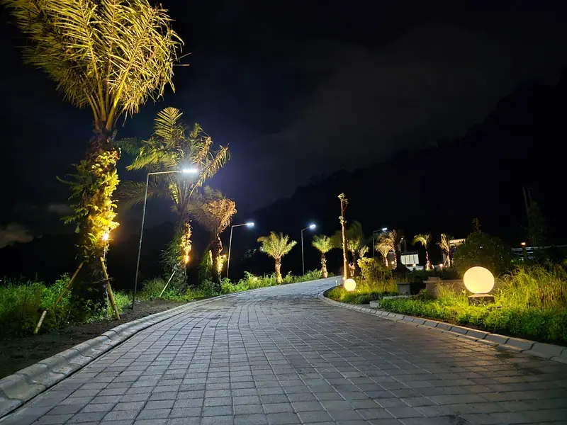 The palm-lined driveway lit at night