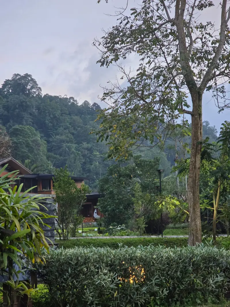 Garden trees against the green hills of Woloan