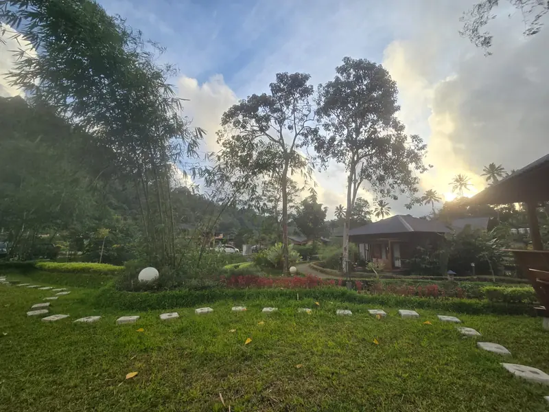 Stepping-stone path across the garden lawn