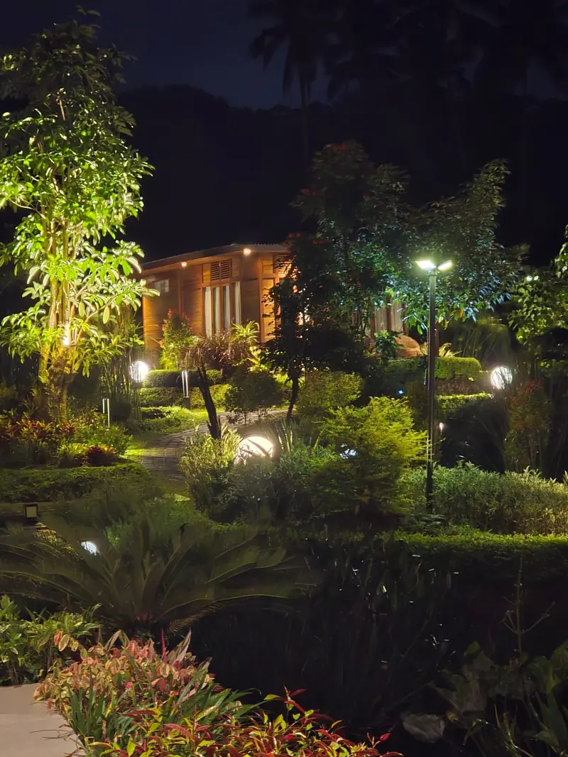 Lantern-lit garden path at night