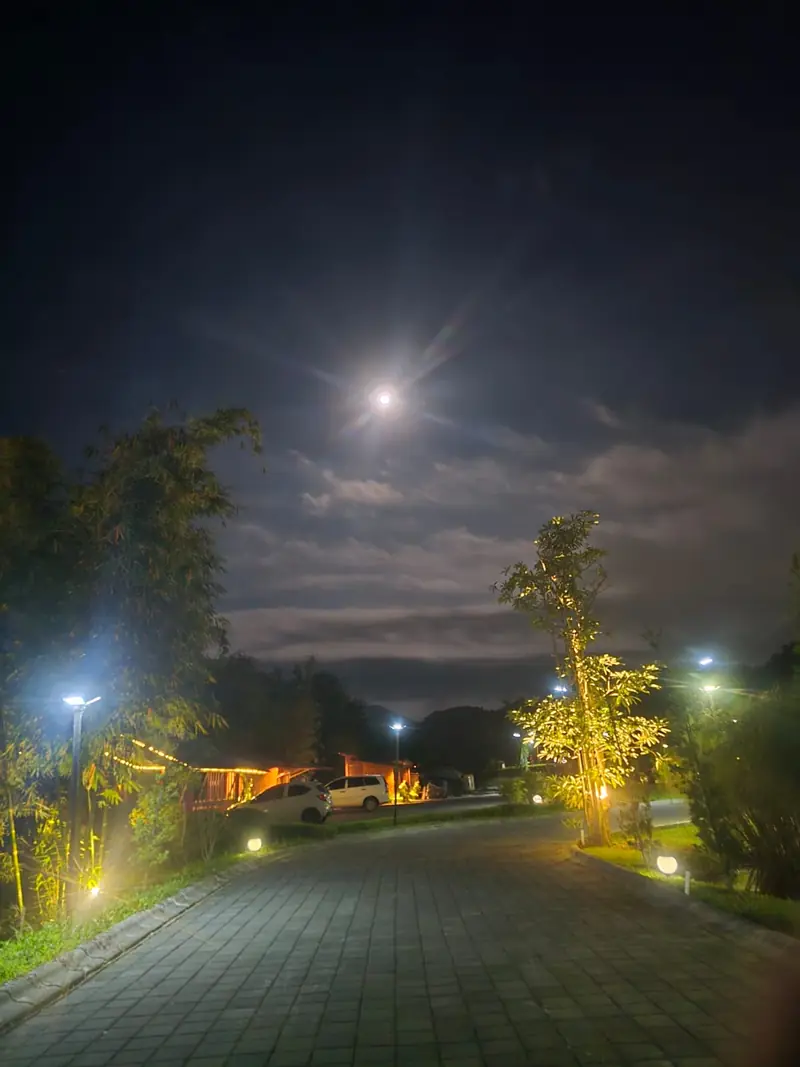 Moonlit path through the estate