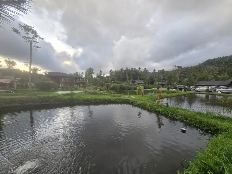 Fish pond with villas and forested hills beyond
