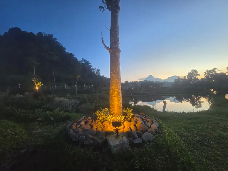 An uplit tree by the pond at dusk, mountains on the horizon