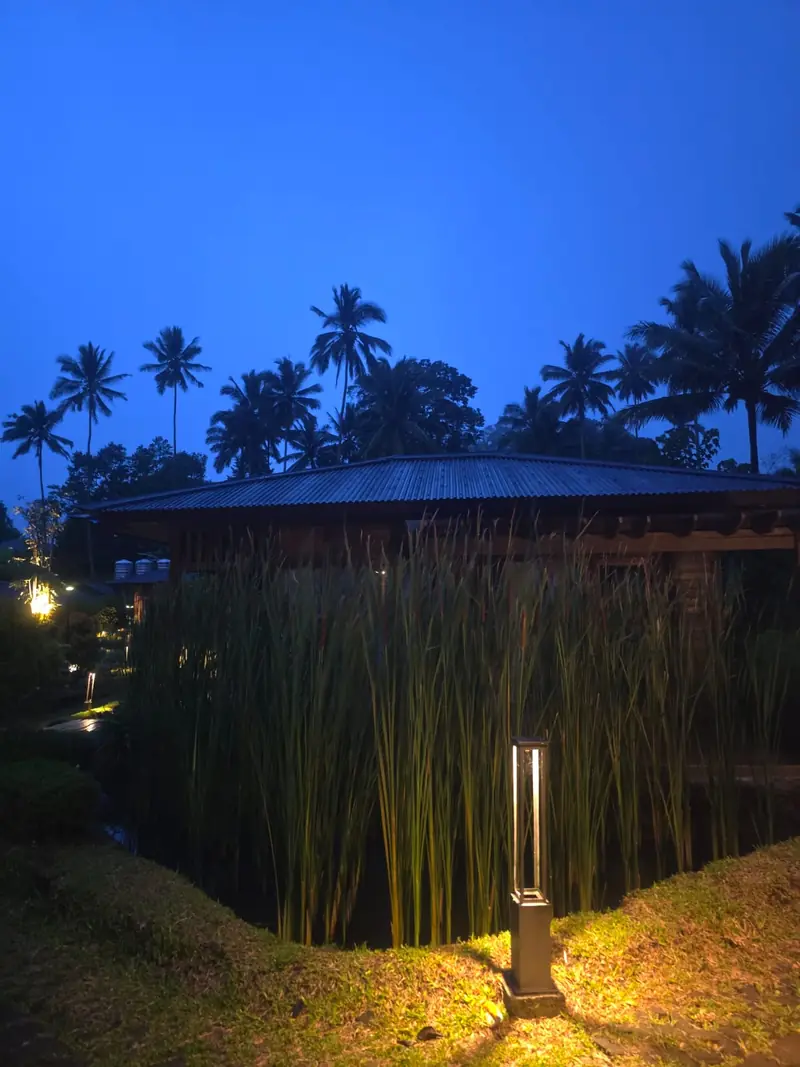 A villa behind tall grasses at blue hour