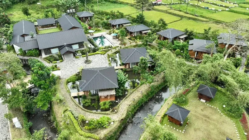 Aerial view of the estate, villas and rice fields